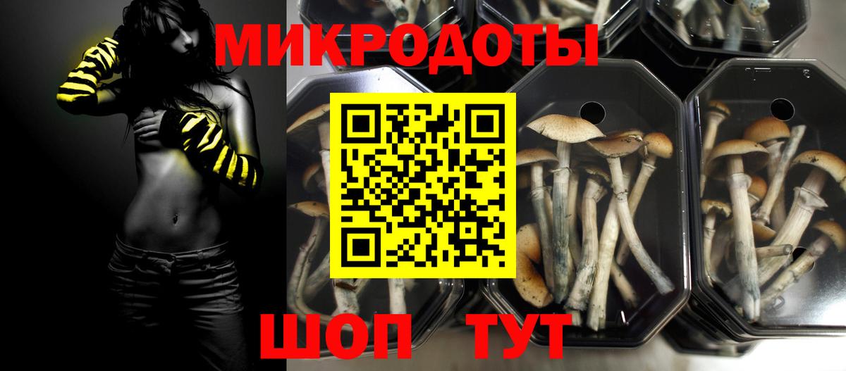 Галлюциногенные грибы Psilocybe Наро-Фоминск