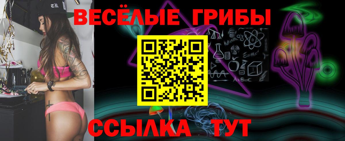 Галлюциногенные грибы Magic Shrooms  Псилоцибиновые грибы GOLDEN TEACHER  Вход с VPN  Наро-Фоминск 